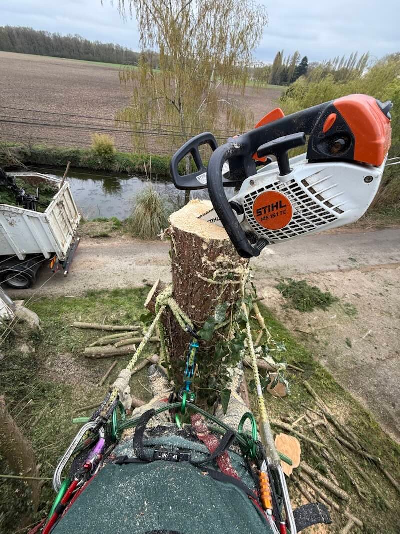 Vue plongeante depuis le haut d’un tronc coupé : tronçonneuse posée sur la coupe, harnais et mousquetons au premier plan, camion benne en contrebas